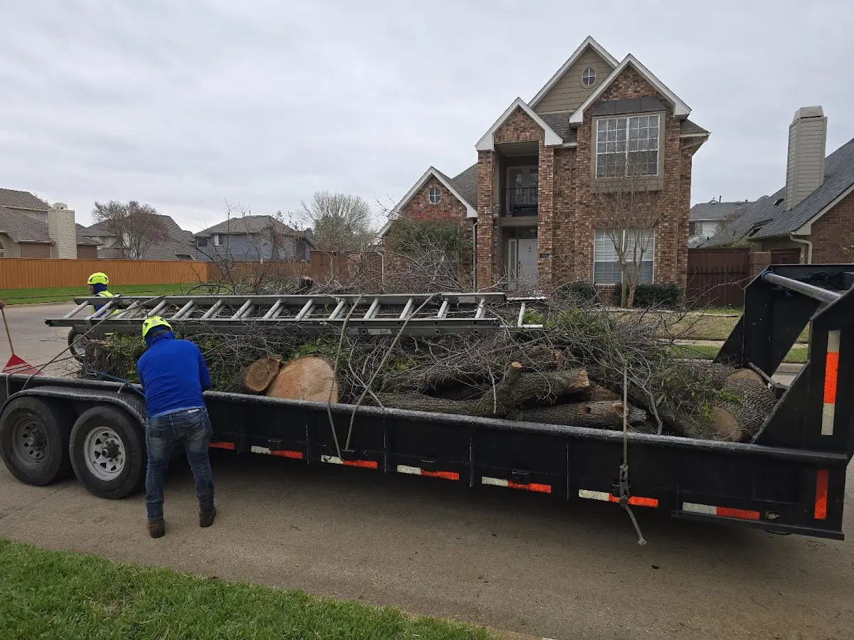 Expert Tree Fertilization with proper safety equipment in Dorris